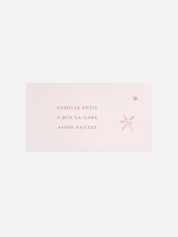 Rosé Love