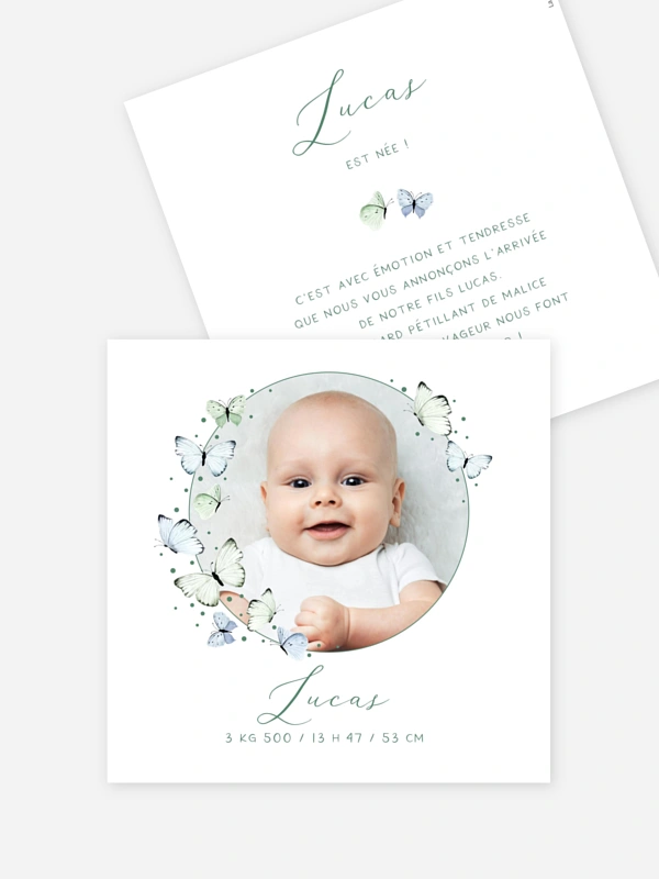 Doux papillons