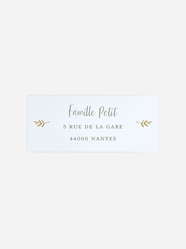 Petits papillons 2
