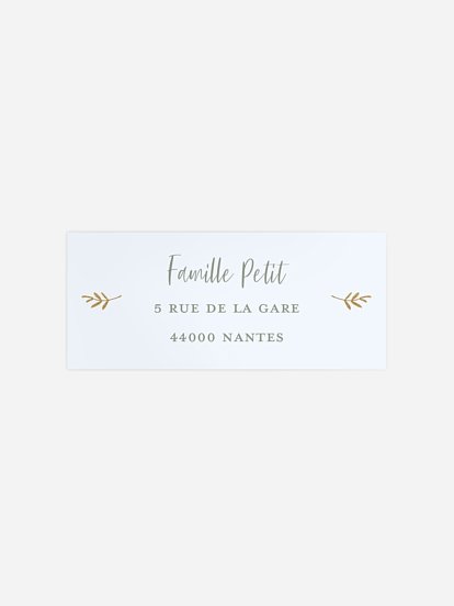 Petits papillons 2