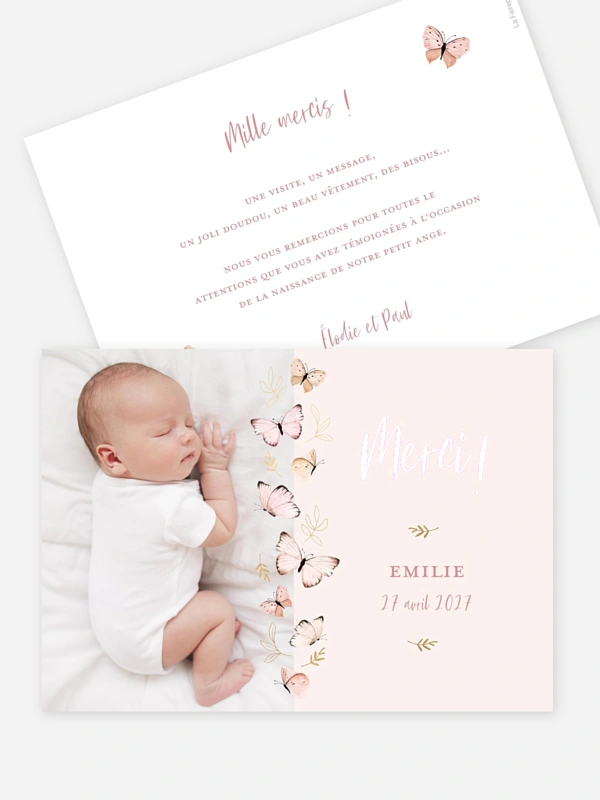 Petits papillons 2