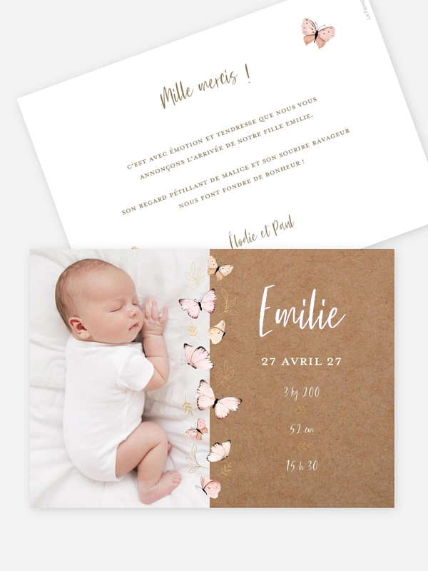 Petits papillons 2