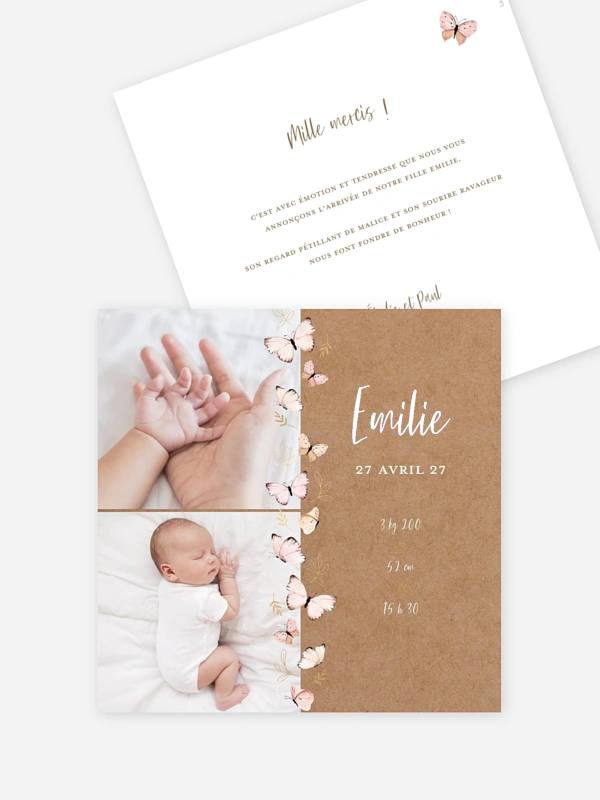 Petits papillons 2
