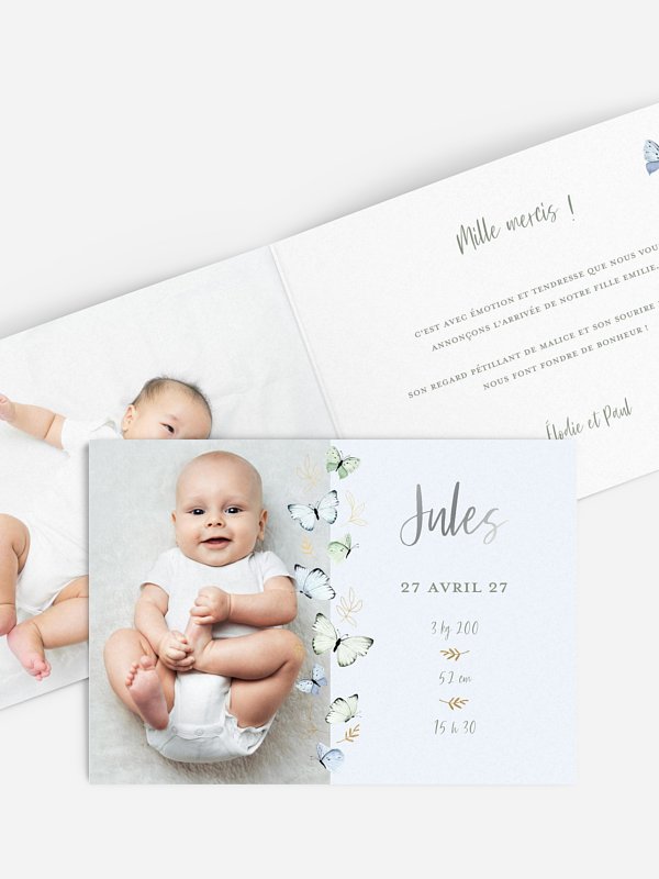 Petits papillons 2
