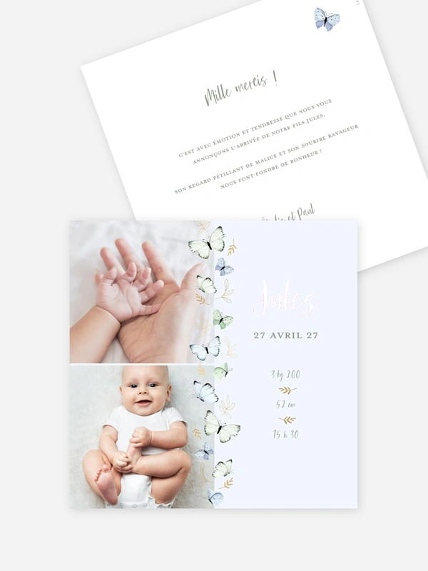 Petits papillons 2