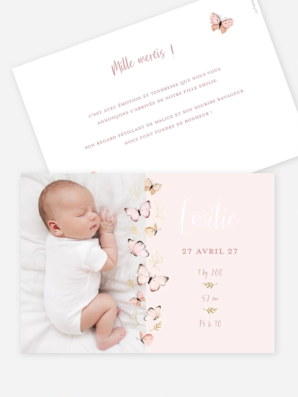 Petits papillons 2