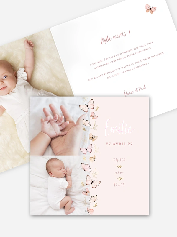 Petits papillons 2