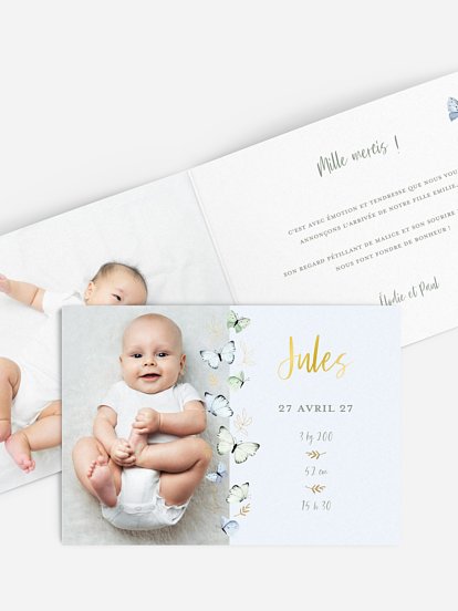 Petits papillons 2  Petits papillons 2