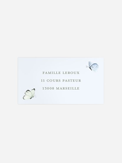 Petits papillons 2 
