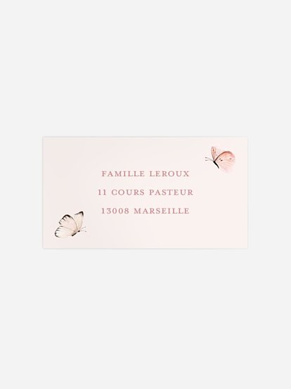 Petits papillons 2  Petits papillons 2
