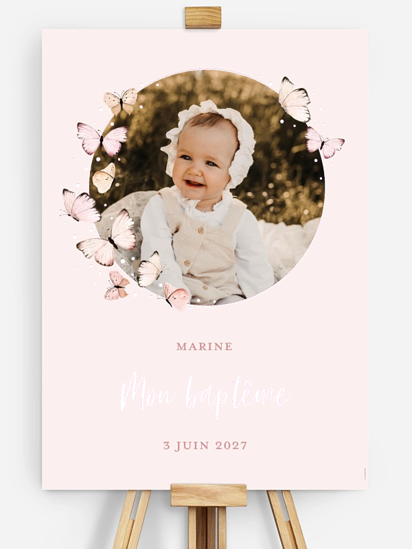Petits papillons 2