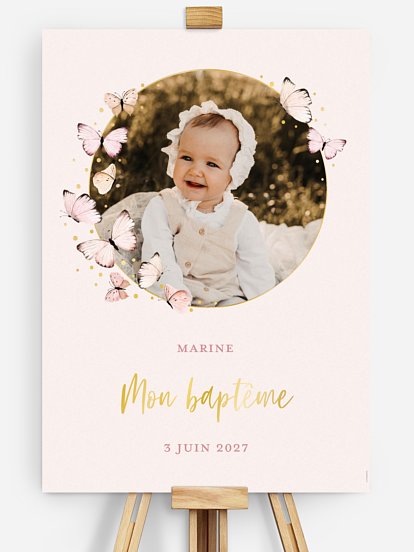 Petits papillons 2  Petits papillons 2