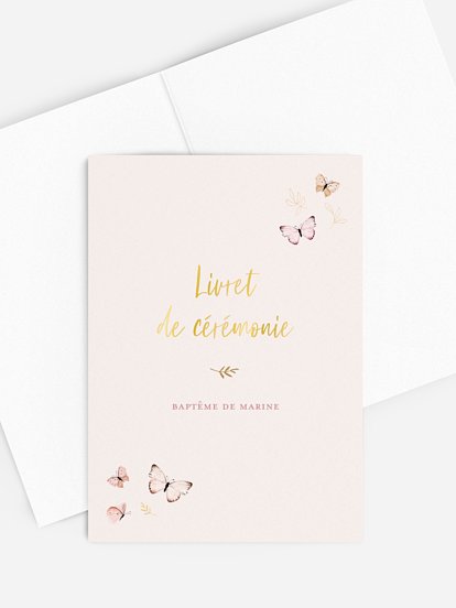 Petits papillons 2  Petits papillons 2