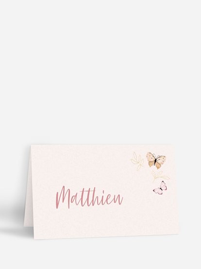 Petits papillons 2  Petits papillons 2