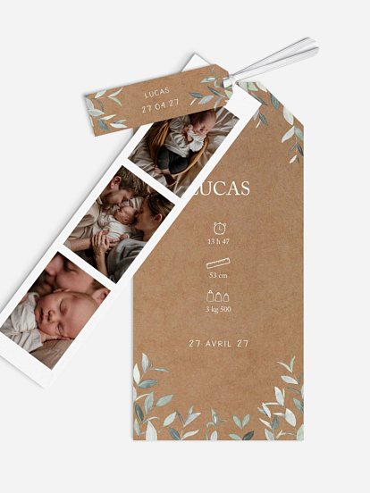 Ornament floral Ornament floral