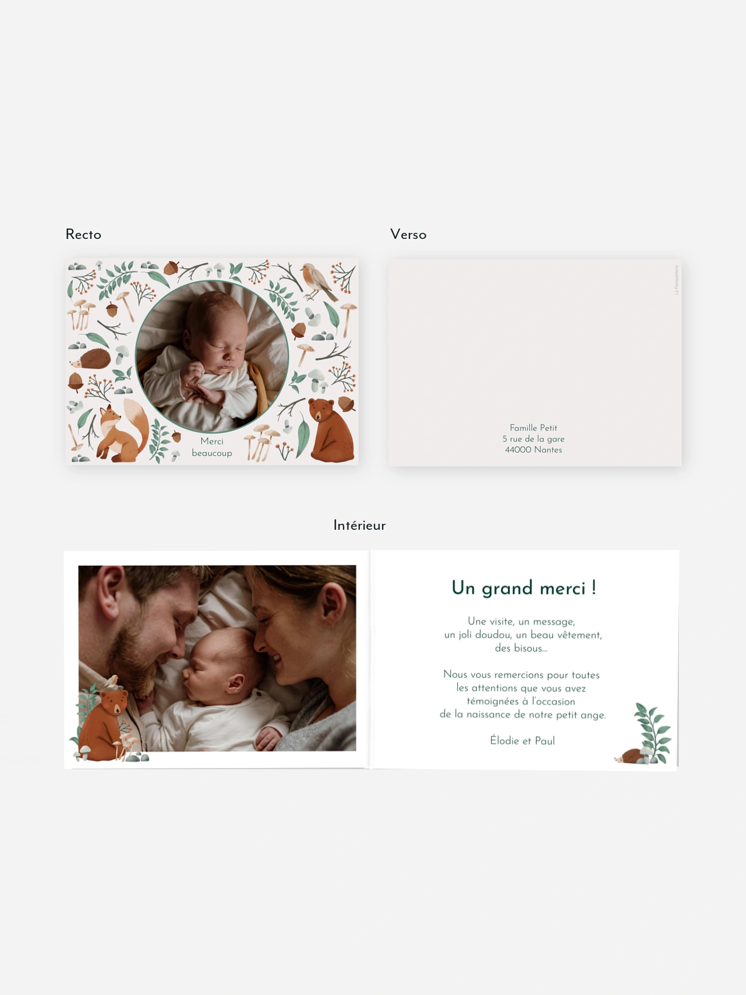 Carte remerciement naissance Balade forestière