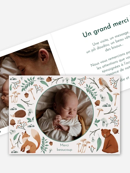 Carte remerciement naissance Balade forestière