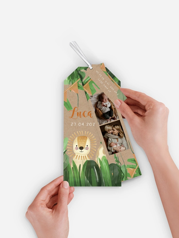 Faire-part naissance Jungle en folie