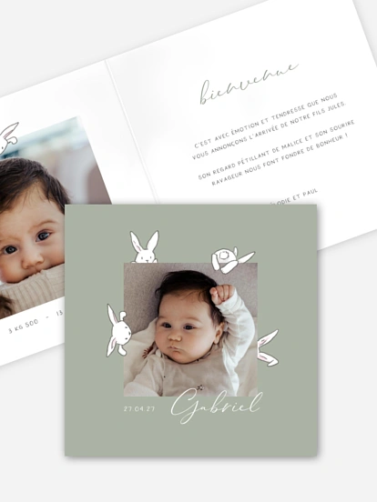 Petits lapins Petits lapins