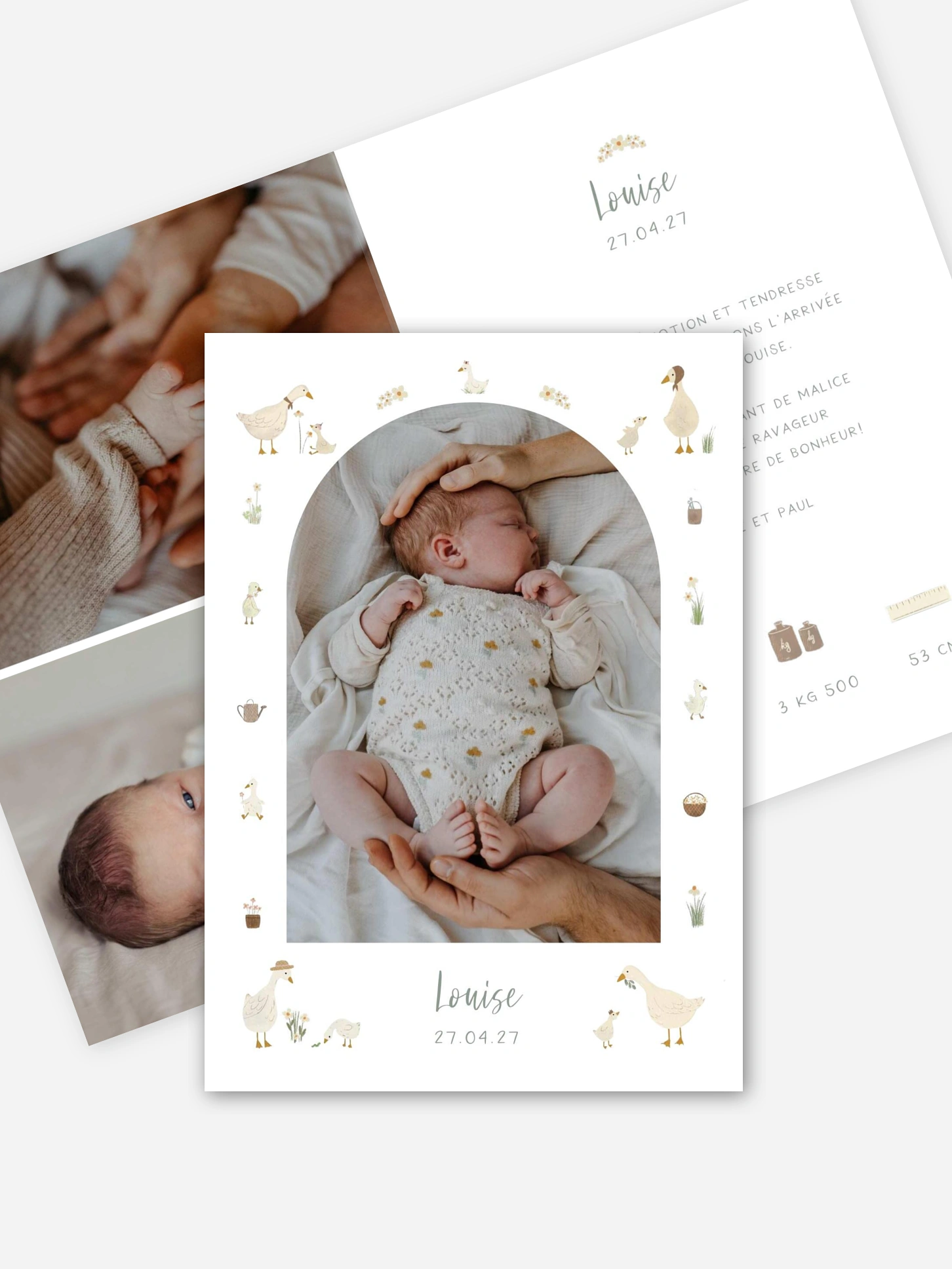 Faire-part naissance Petites oies