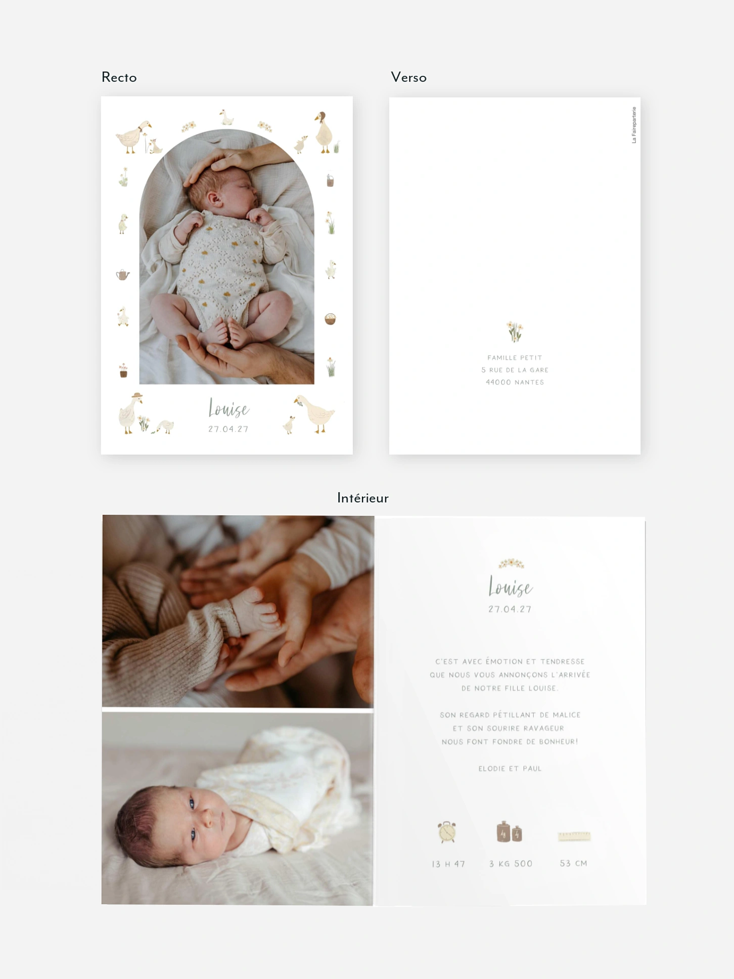 Faire-part naissance Petites oies