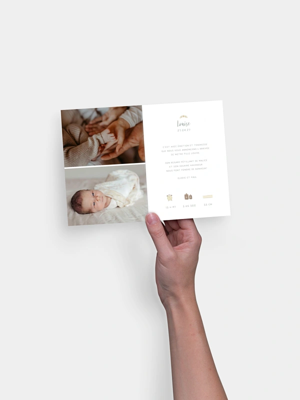 Faire-part naissance Petites oies