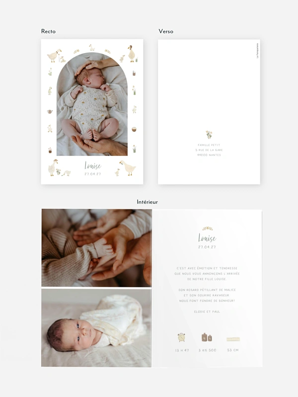 Faire-part naissance Petites oies