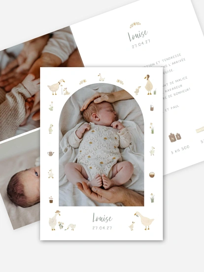 Faire-part naissance Petites oies
