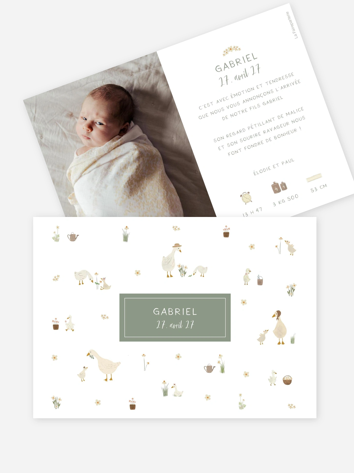 Faire-part naissance Famille d´oies
