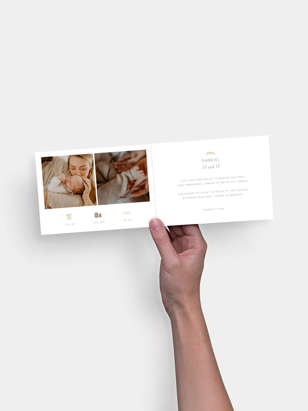 Faire-part naissance Famille d´oies