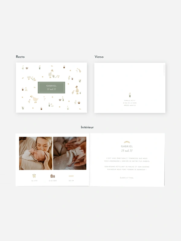 Faire-part naissance Famille d´oies