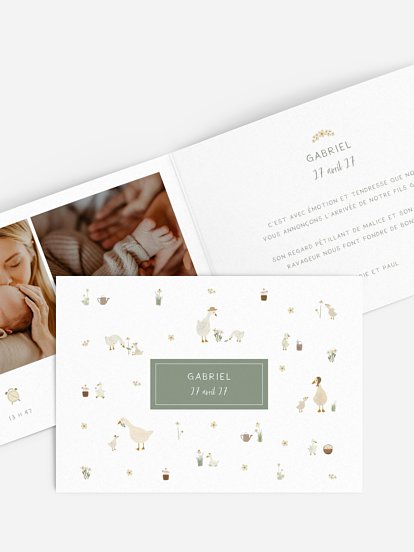 Faire-part naissance Famille d´oies