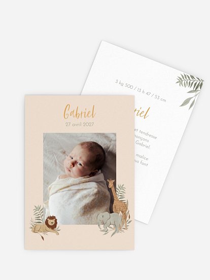 Faire-part naissance Animaux de la savane