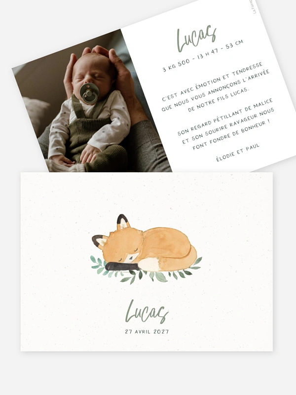 Bébé renard