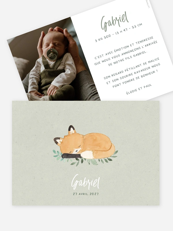 Bébé renard