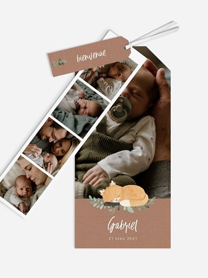 Faire-part naissance Bébé renard II