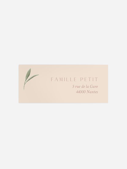 Pictos & feuillage Pictos & feuillage