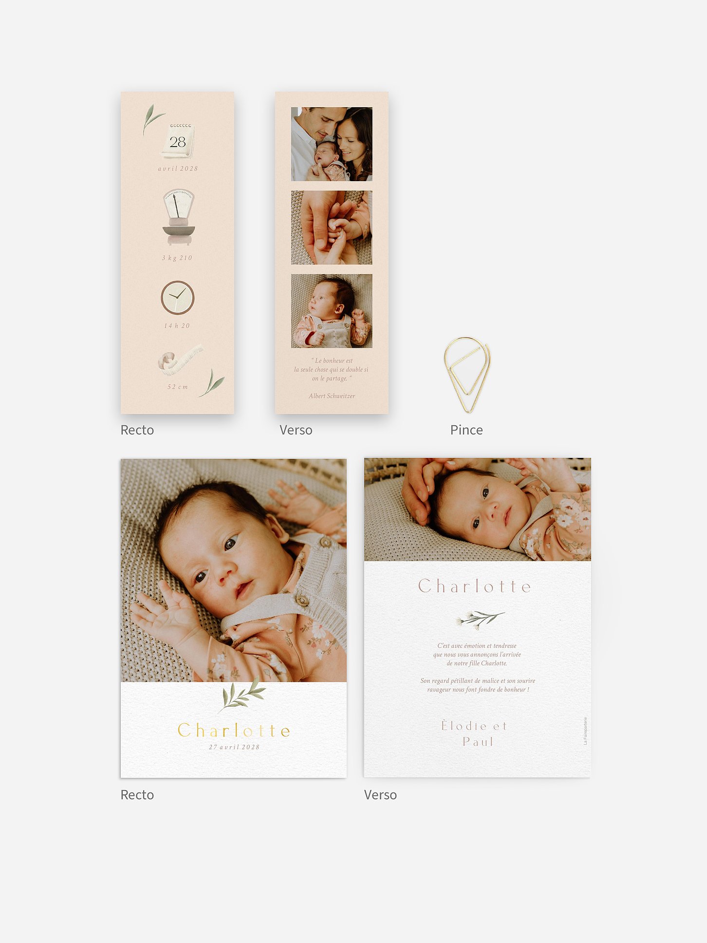 Faire-part naissance Pictos & feuillage