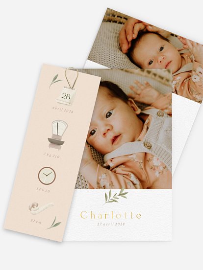 Faire-part naissance Pictos & feuillage
