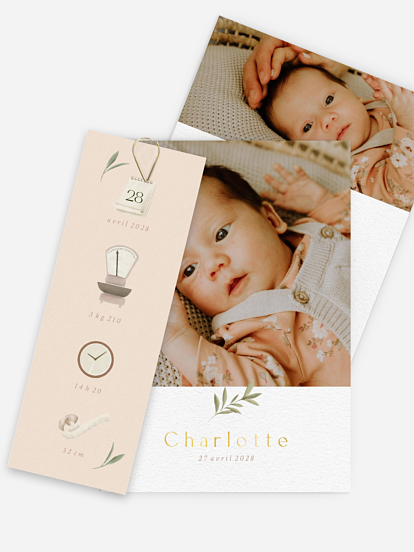 Faire-part naissance Pictos & feuillage