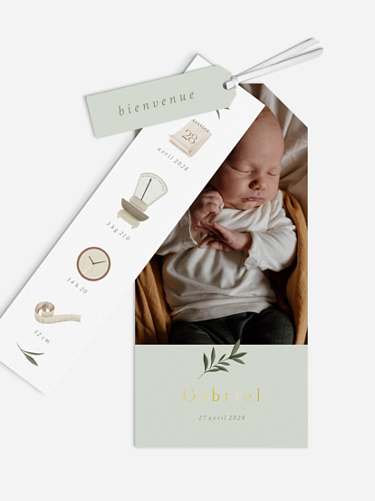 Faire-part naissance Pictos & feuillage