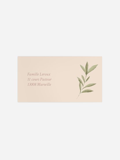 Pictos & feuillage Pictos & feuillage