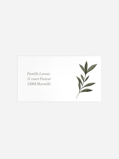 Pictos & feuillage Pictos & feuillage