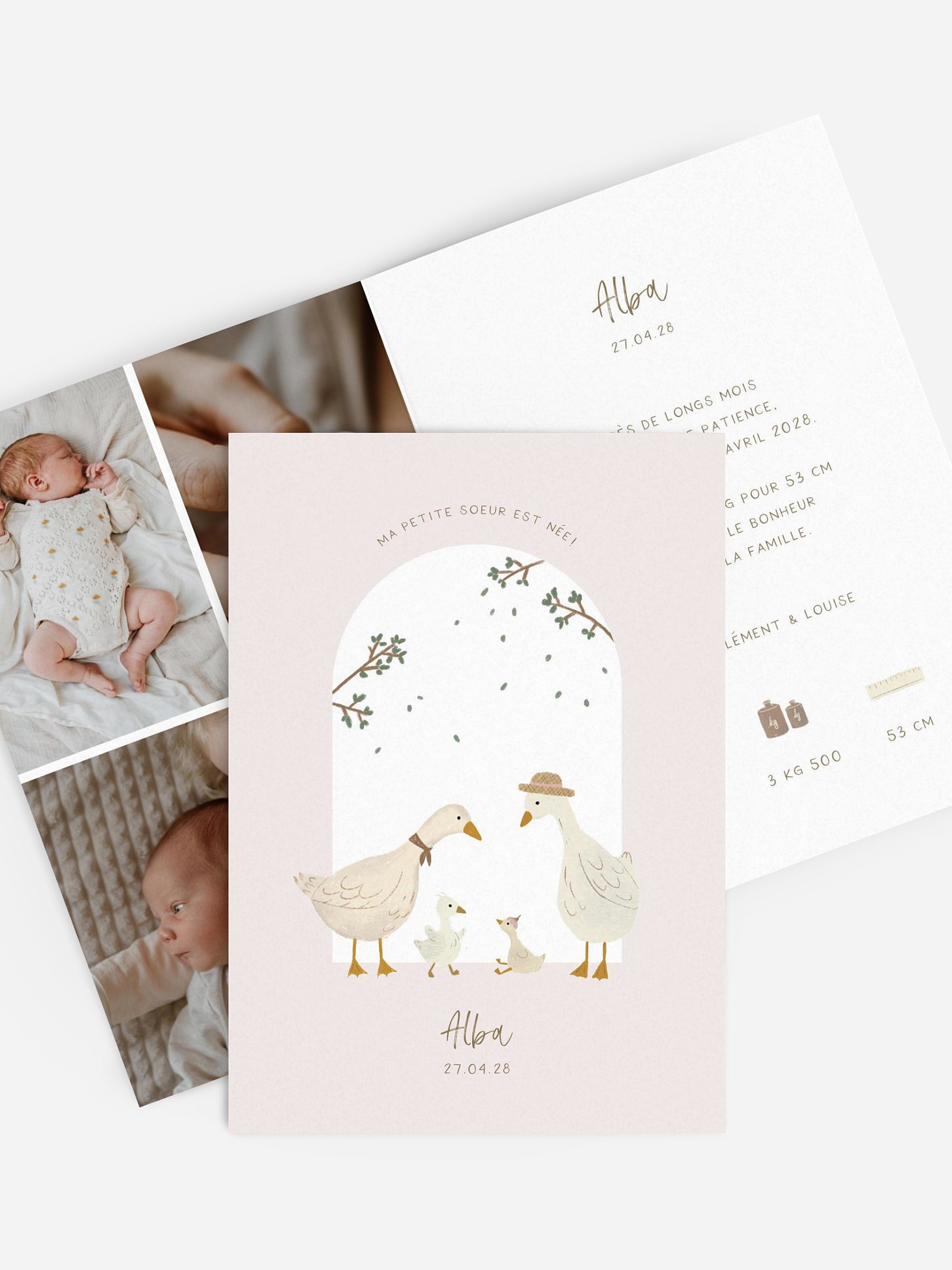 Faire-part naissance Bonheur familial