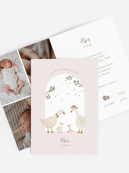 Faire-part naissance Bonheur familial