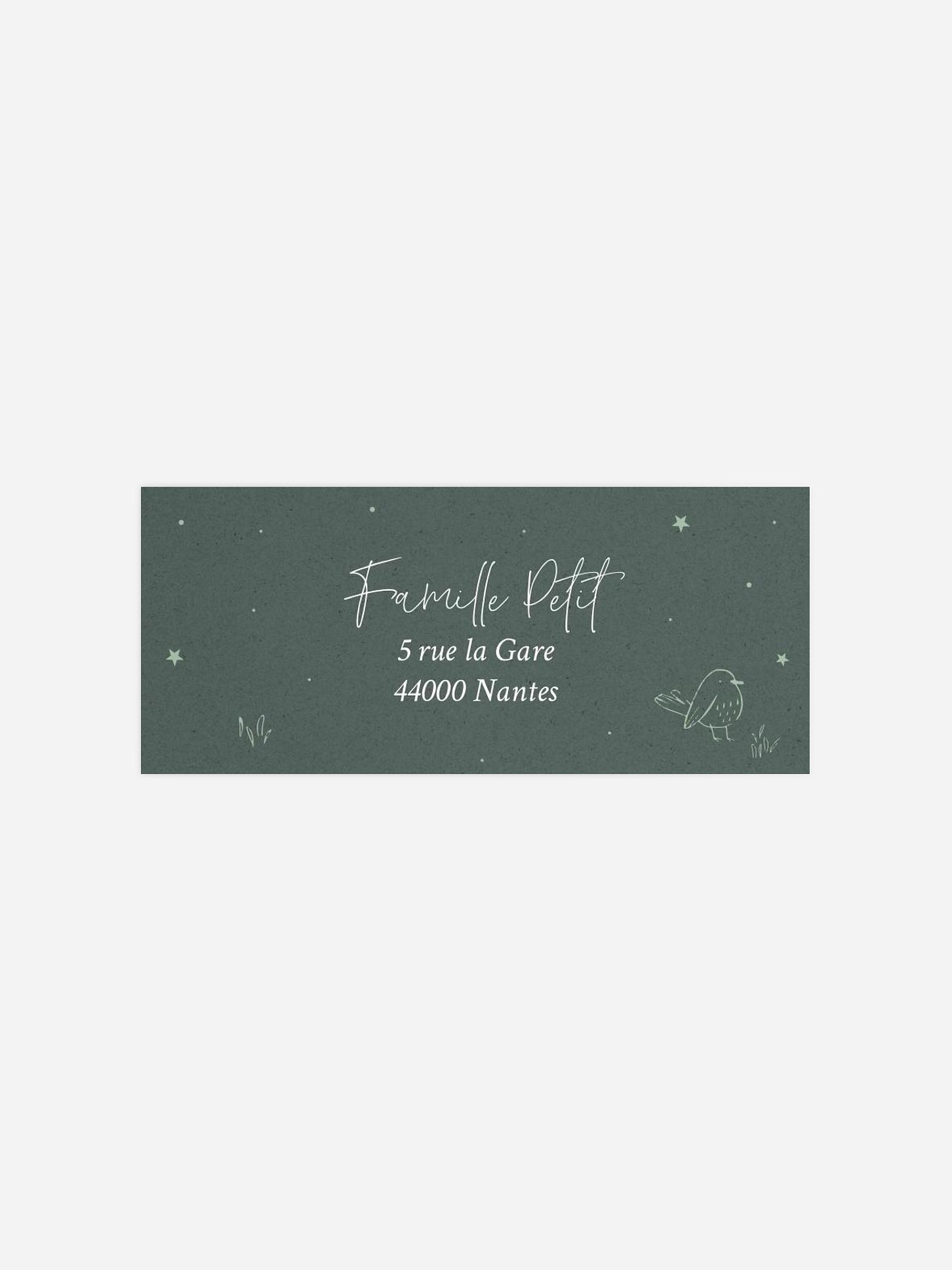 Étiquette expéditeur naissance Mes petits amis de la forêt