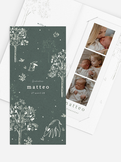 Faire-part naissance Mes petits amis de la forêt