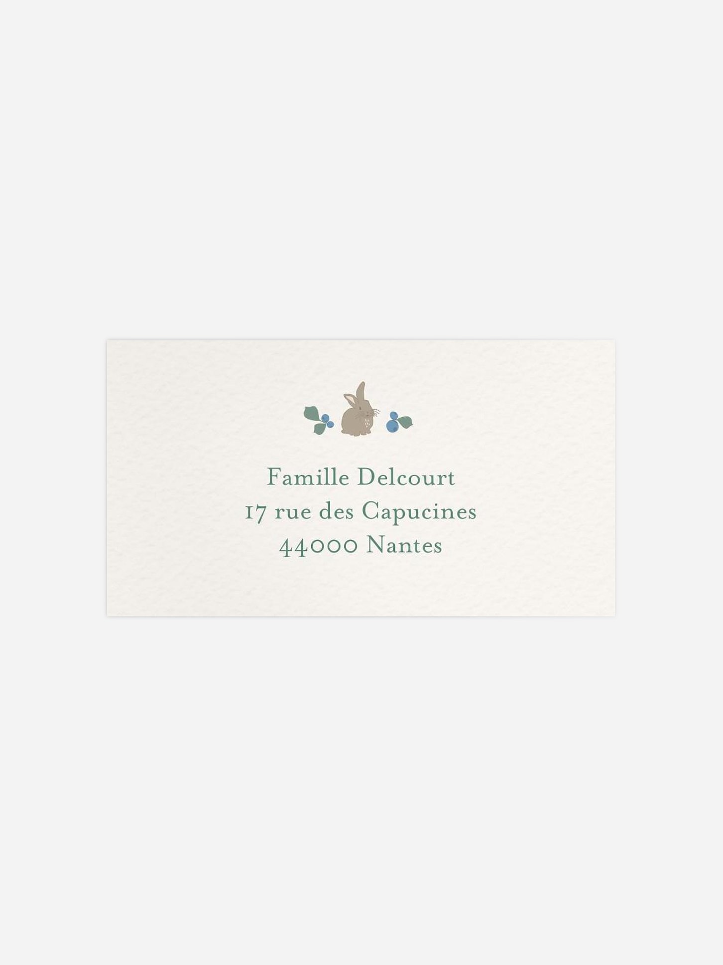 Étiquette destinataire naissance Blueberries 2