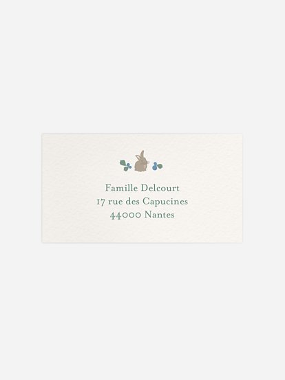 Étiquette destinataire naissance Blueberries 2