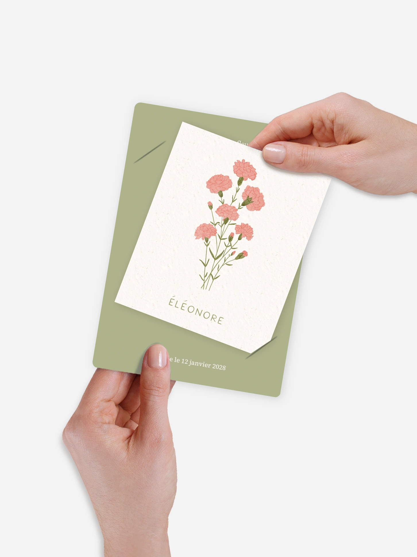 Faire-part naissance Fleur de naissance - janvier